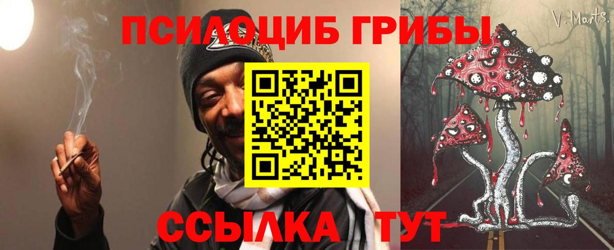 Бердск  Галлюциногенные грибы ЛСД  Вход с VPN 
